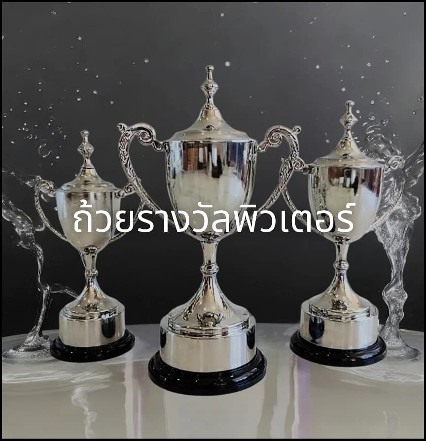 ถ้วยรางวัล