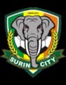 Surin